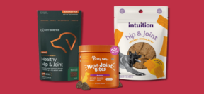 Comfort for the Journey Ahead