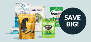 Cat-tastic Savings Await