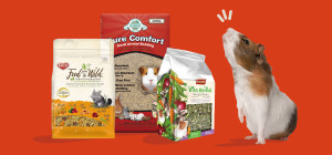 Nibble up the Best Deals