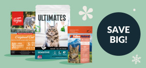 Pounce on Purr-Worthy Savings