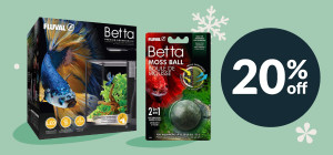 Wrap Up Fin-tastic Savings