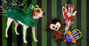 SpOOk-tacular