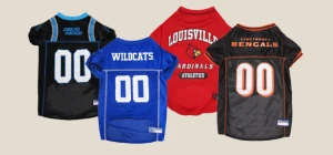 Team Spirit Looks Better with Fur