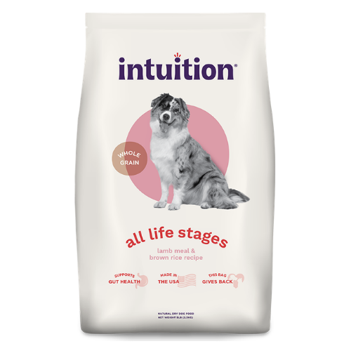 Intuition All Life Stages Lamb Meal & Brown Rice Recipe Dry Dog Food