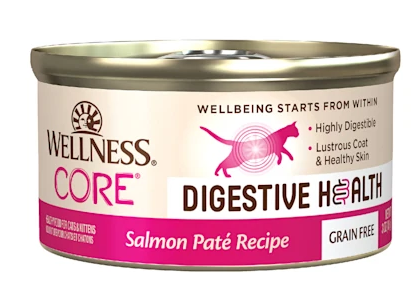 wellness pate