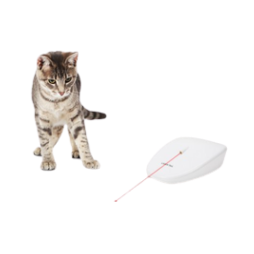 PetSafe Laser Tail Cat Toy 
