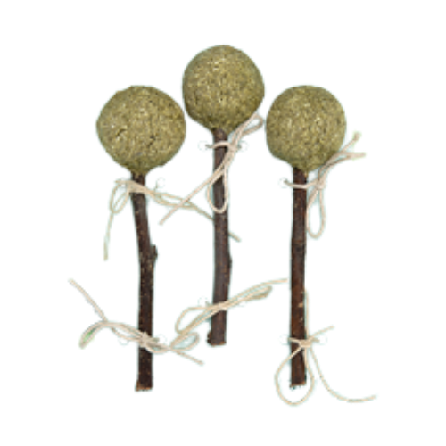 Oxbow Enriched Life Timmy Pops Small Animal Chew Toy 3 pk