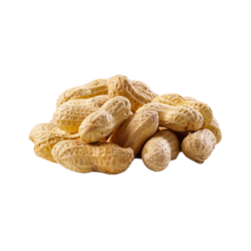 Burkmann Feeds Peanuts