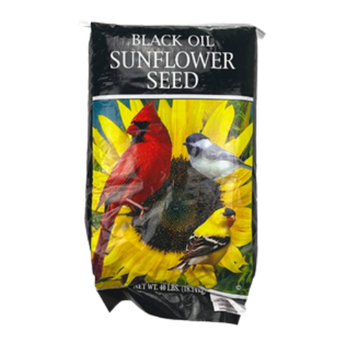 Ada Feed & Seed Black Oil Sunflower Seeds