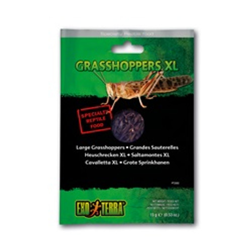Exo Terra Vacuum Packed Extra Large Grasshoppers Reptile Food 1.1 oz
