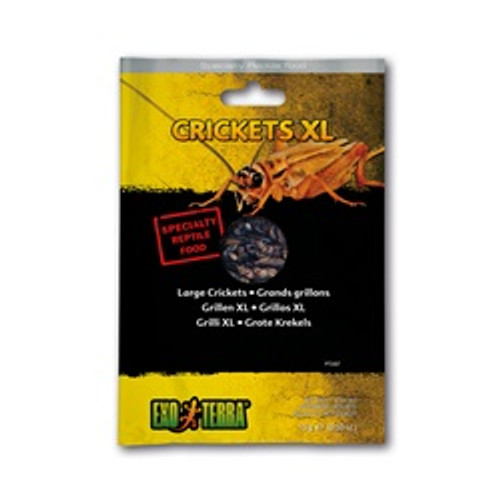 Exo Terra Vacuum Packed Extra Large Crickets Reptile Food 1.1 oz