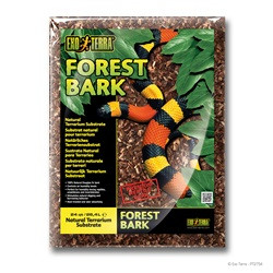 snake aquarium kit