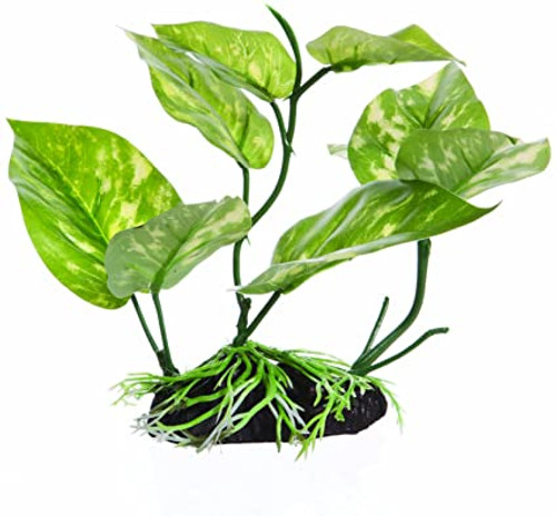 Fluval Lizards Tail Aquarium Plant 6.75 in