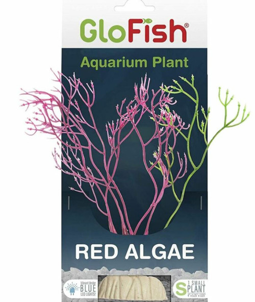 Tetra GloFish Red Algae Aquarium Plant 