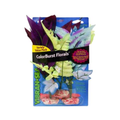 Blue Ribbon Mini African Fern Cluster Aquarium Plant 