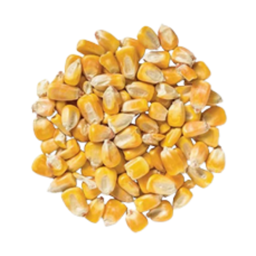 Producer Shell Corn 50 lb