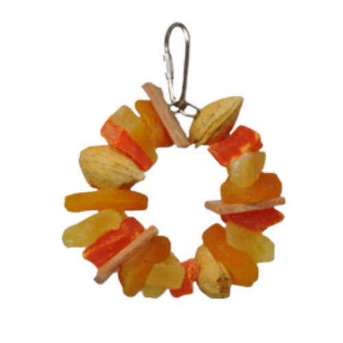 A&E Tropical Delight Fruit Nut Ring Jr for Birds 4 in