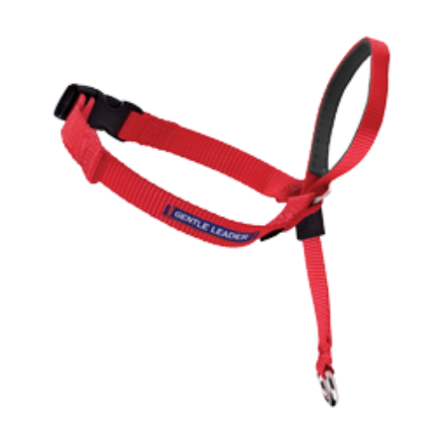 PetSafe Gentle Leader Head Collar