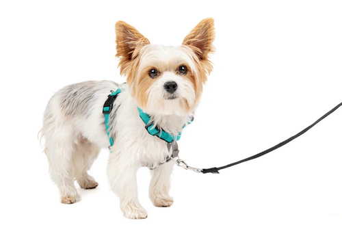 PetSafe 3 in 1 Harness
