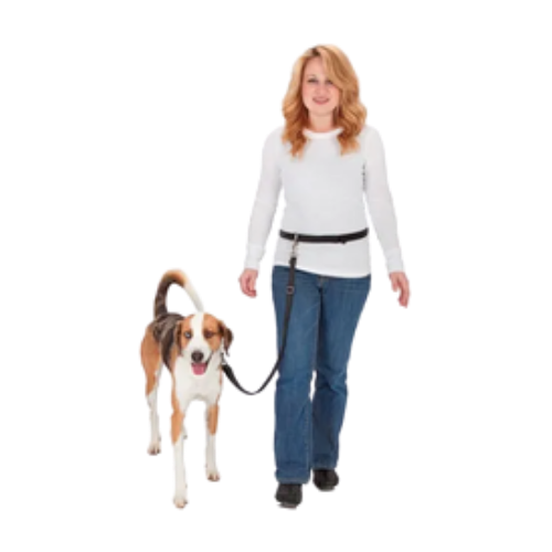 PetSafe Hands Free Leash 