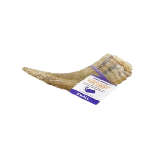 Icelandic+ Plus Small Lamb Horn With Marrow Dog Chew 1.4 oz