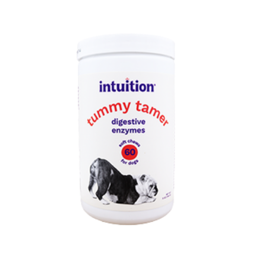 Intuition Soft Chews Digestive Enzymes Supplement for Dogs 60 ct