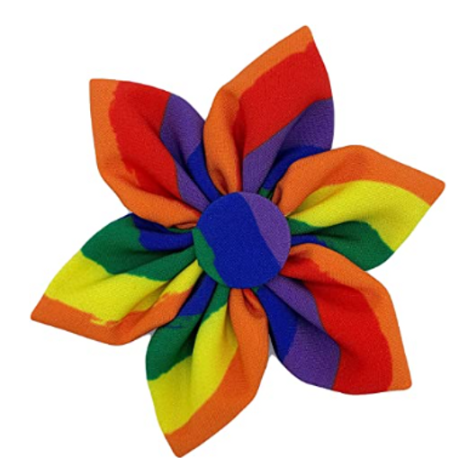 Huxley & Kent Pride Equality Pinwheel Collar Accessory S