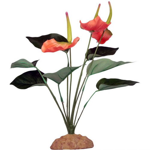 Incredipet Anthurium Bush Reptile Terrarium Plant 