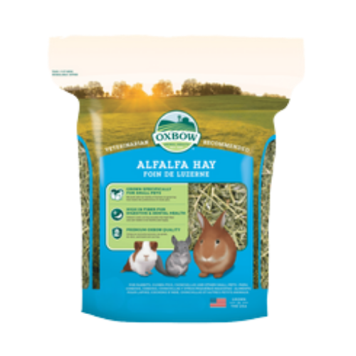 Oxbow Animal Health Alfalfa Hay 40 oz