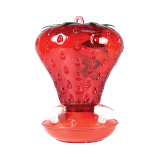 Perky Pet Strawberry Hummingbird Feeder 40 oz