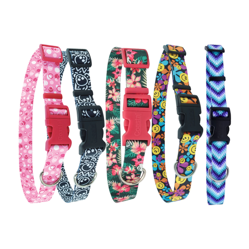 Coastal Pet Products Styles Adjustable Dog Collar