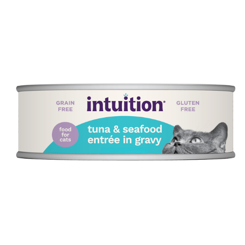 Intuition Grain-Free Tuna & Seafood Entrée in Gravy Canned Cat Food