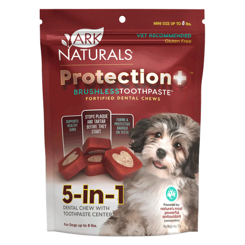 Ark Naturals Brushless Toothpaste Protection+ Mini Dental Dog Treats 4 oz