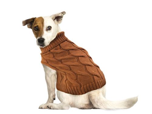 Spot Fashion Pet Twisted Cable Pet Sweater