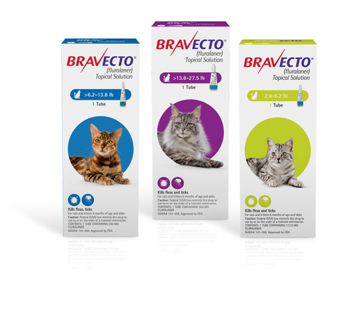 Bravecto TOPICAL for Cats (12 Weeks)