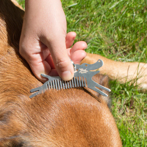 Kikkerland Tick Removal Tool 