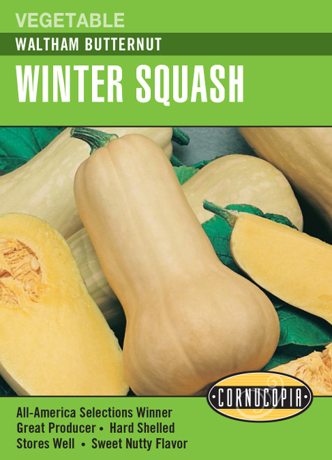 Renee's Garden Waltham Butternut Winter Squash Seeds 