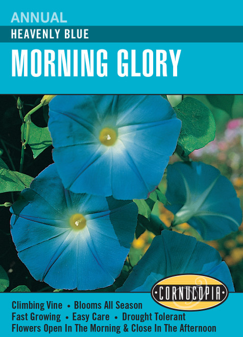 Renee's Garden Annual Heavenly Blue Morning Glory Flower Seeds 