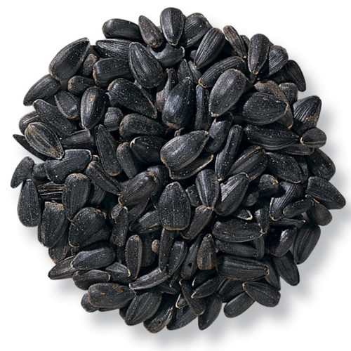 Misc Black Oil Sunflower Wild Bird Seed 50 lb