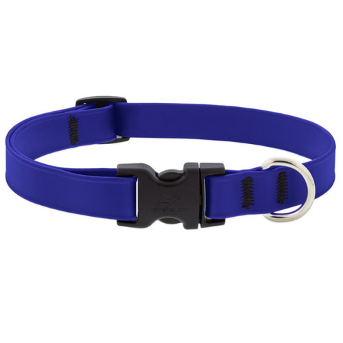 Lupine Splash True Blue Waterproof Adjustable Dog Collar