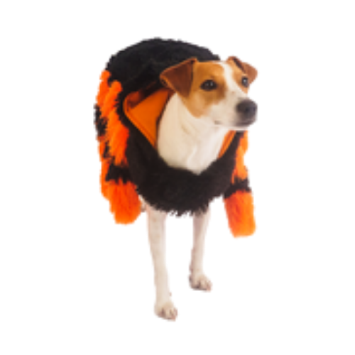 Silverpaw Halloween Spider Pet Costume