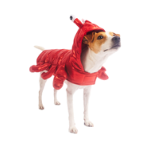 Silverpaw Halloween Lobster Pet Costume