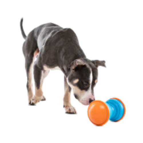 Guru Bouncer Treat Dispensing Dog Toy 