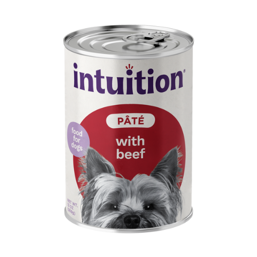 Intuition Pate with Beef Canned Dog Food
