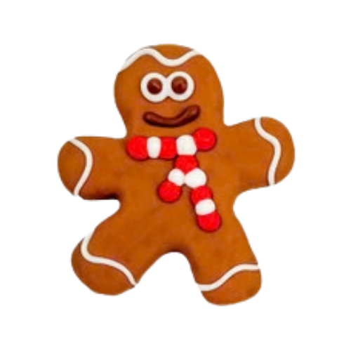Bosco & Roxy Holiday Gingerbread Man Dog Cookie Treat 