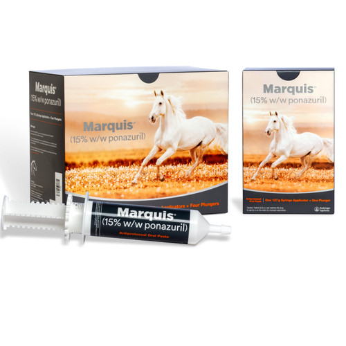 Marquis Oral Paste
