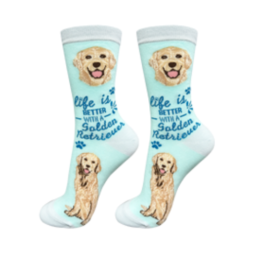 E & S Imports Life is Better With a Golden Retriever Teal Socks 