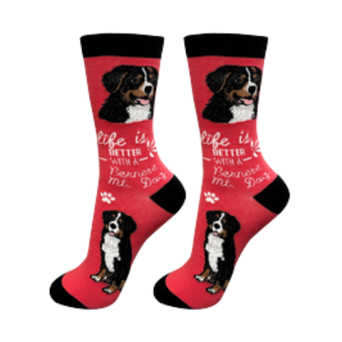 E & S Imports Life is Better With a Bernese Mountain Dog Socks 