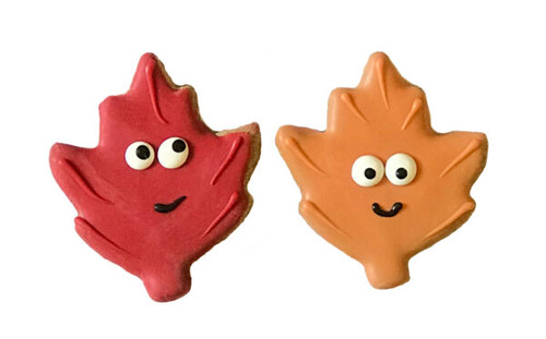 Pawsitively Gourmet Fall Emoji Leaves Cookie Dog Treat 