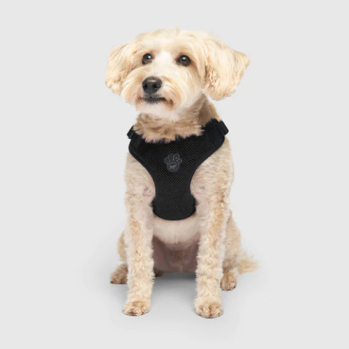 Canada Pooch Easy-On Step-In Dog Harness